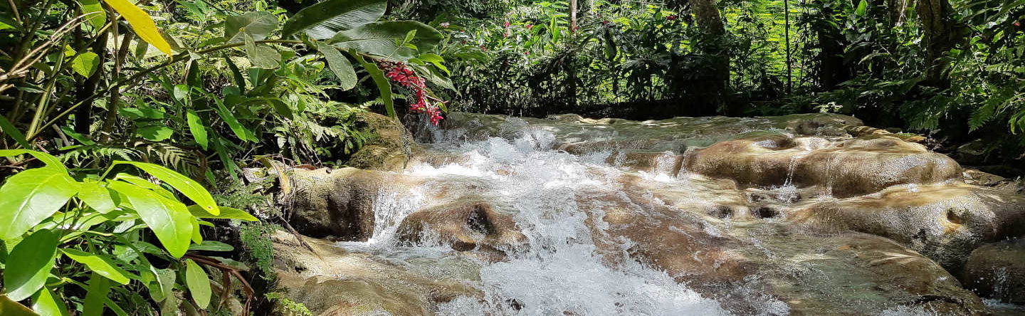 Escursione alle cascate del fiume Dunn - Foto 1