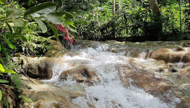 Excursión a las cascadas del río Dunn - Foto 4
