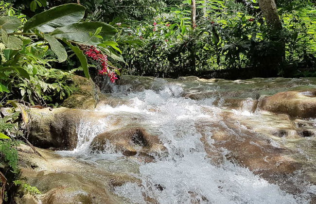 Escursione alle cascate del fiume Dunn - Foto 1