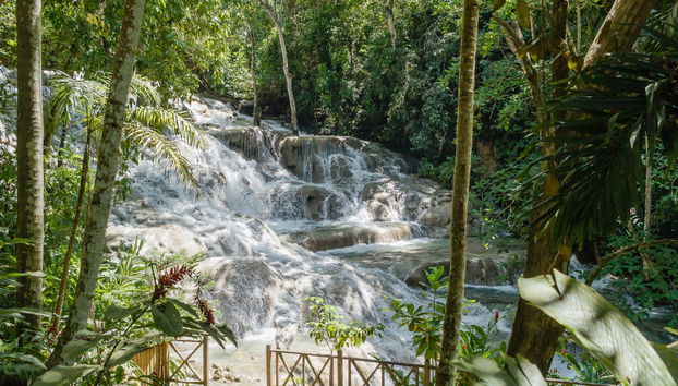 Excursión a las cascadas del río Dunn - Foto 3