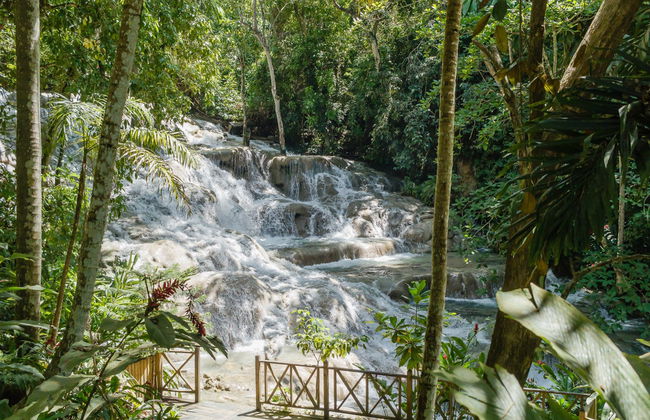 Excursión a las cascadas del río Dunn - Foto 3