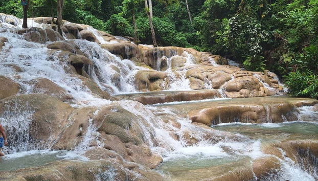 Excursión a las cascadas del río Dunn - Foto 3