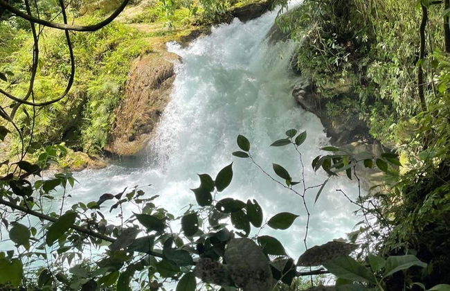 Excursão ao Blue Hole - Foto 4
