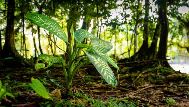 Excursión al Agujero Azul - Foto 5
