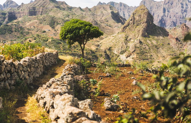 Corda, Coculi & Figueiral de Cima Excursion - Foto 1