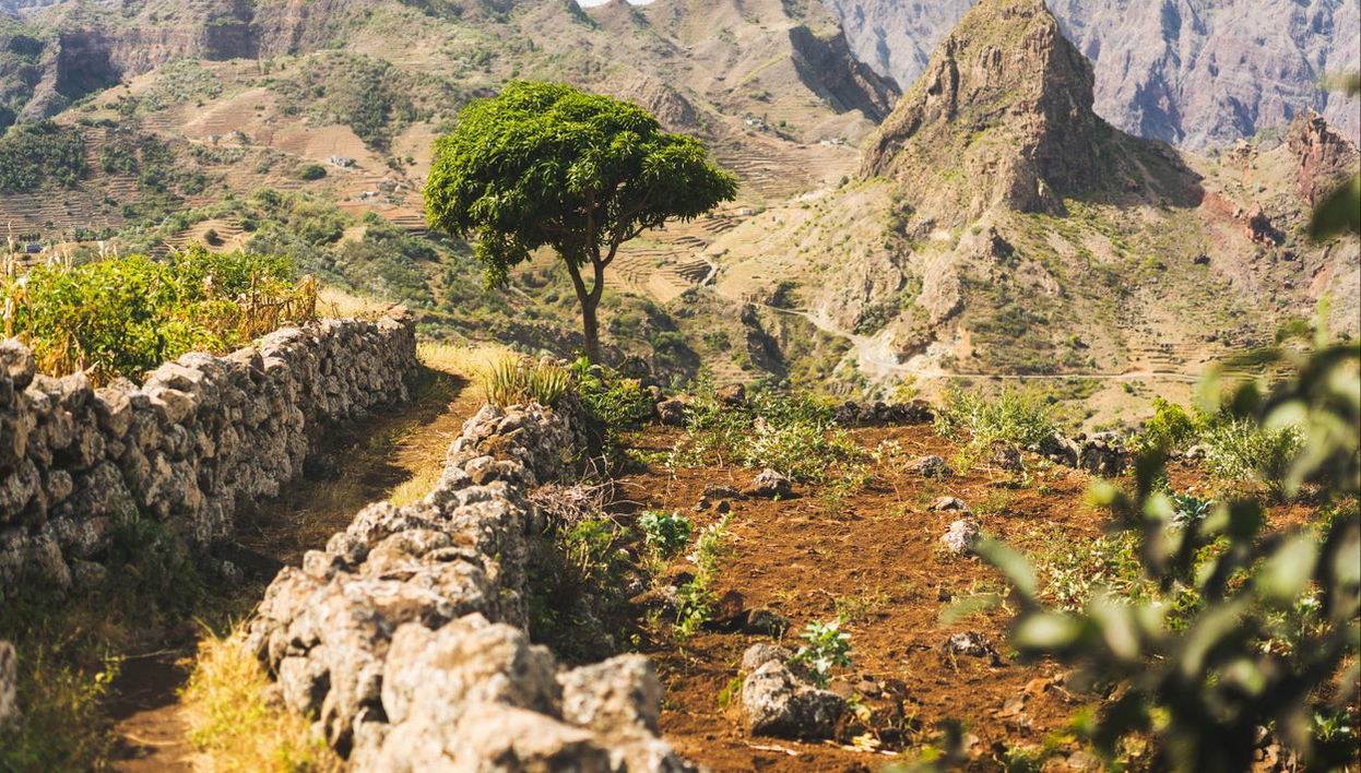Excursion à Corda, Coculi et Figueiral de Cima - Photo 1