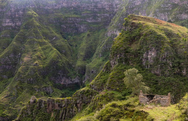 Corda, Coculi & Figueiral de Cima Excursion - Foto 3