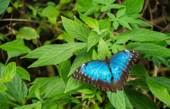 La Merced Day Trip - Photo 5