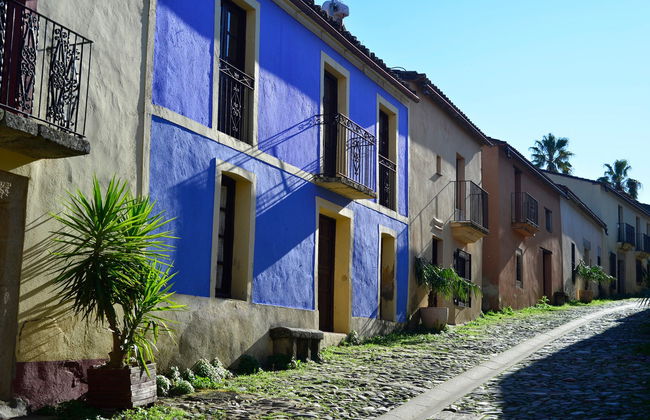 Boat Trip to Granadilla - Photo 1