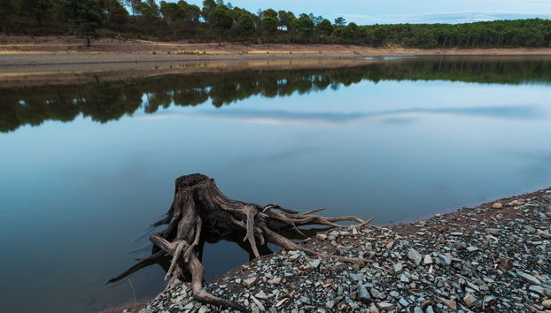 Boat Trip to Granadilla - Photo 5