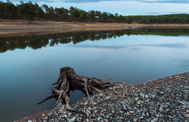 Boat Trip to Granadilla - Photo 5