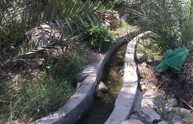 Tour privado en 4x4 por Ras al Khaimah - Foto 5