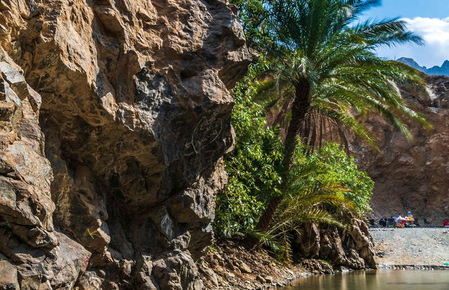Tour privado en 4x4 por Ras al Khaimah - Foto 7