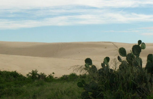 Tour en buggy por la playa Dunas Doradas - Foto 4