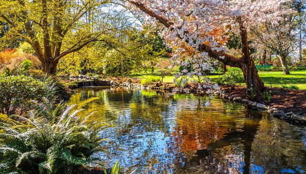 Victoria Sightseeing Bus - Foto 4