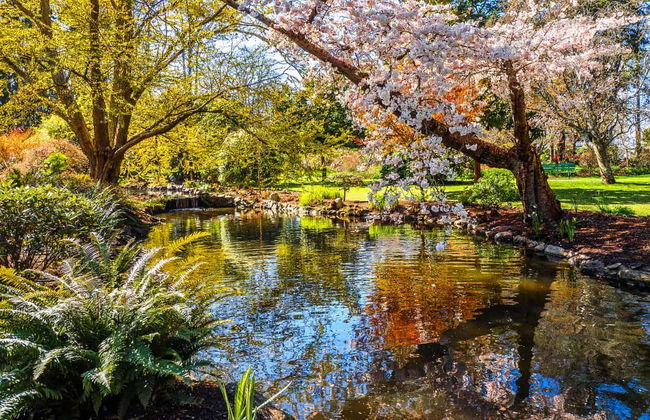 Victoria Sightseeing Bus - Foto 4