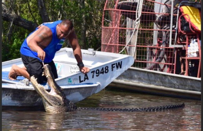 Paseo en aerodeslizador por la Reserva de Barataria - Foto 4