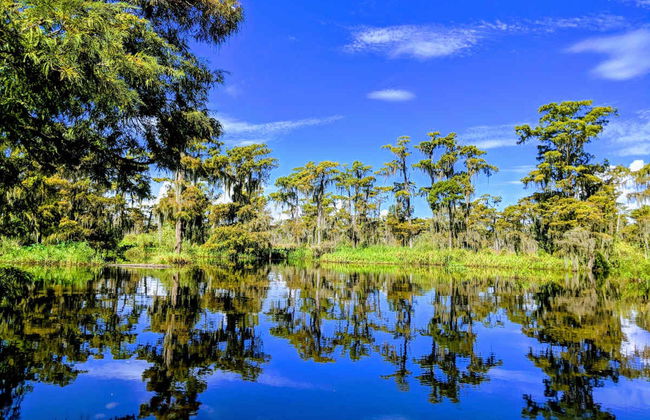 Airboat Trip in Barataria Preserve - Photo 5