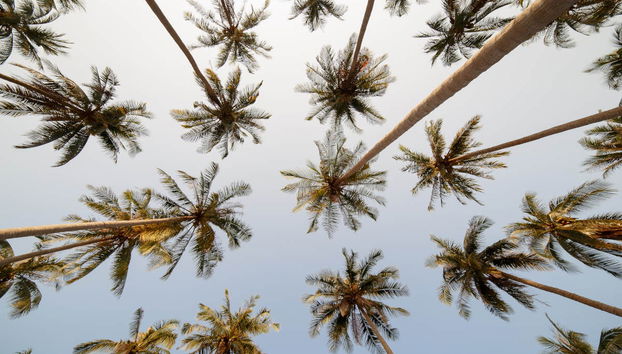 Phi Phi Islands Speedboat Transfer - Foto 3