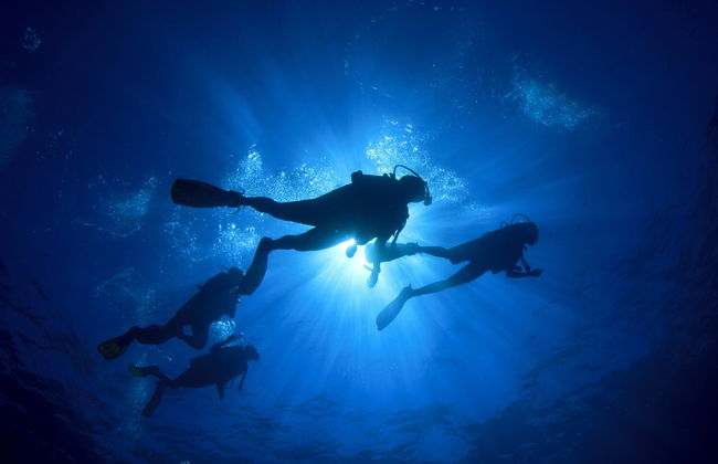 Bautismo de buceo en São Miguel - Foto 3