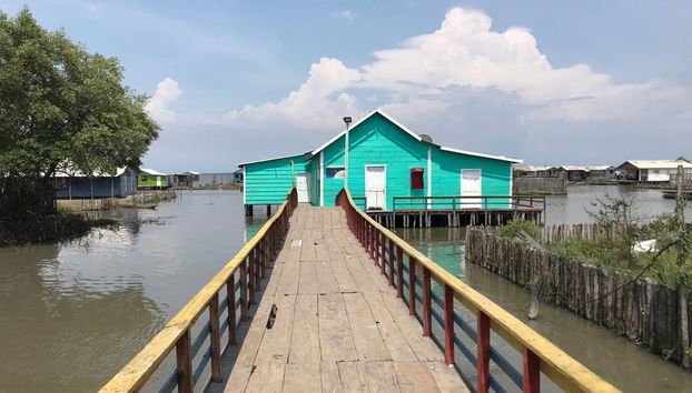 Excursión a la Ciénaga Grande de Santa Marta - Foto 5