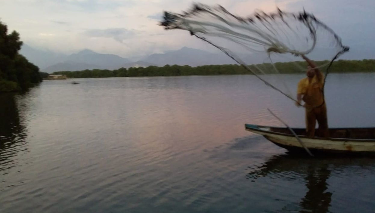 Excursión a la Ciénaga Grande de Santa Marta - Foto 1