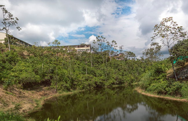 Escursione alla Ciénaga Grande de Santa Marta - Foto 6
