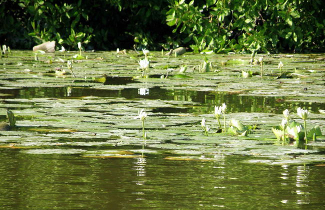 Tres Palos Lagoon Day Trip - Photo 4