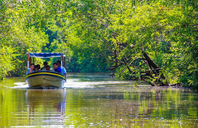 Excursión a la laguna de Tres Palos - Foto 7