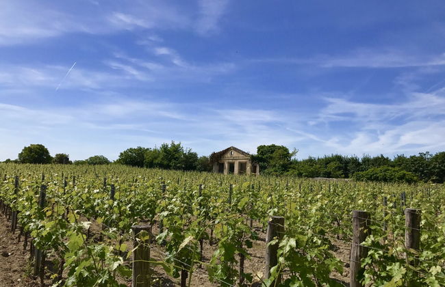 Medoc Wine Tour - Foto 6