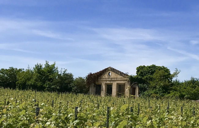 Excursão a Saint-Émilion + Degustação de vinhos em uma adega - Foto 9