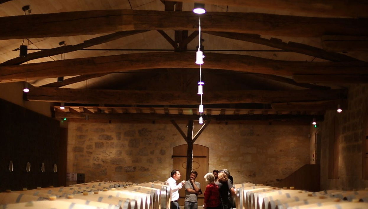 Excursão a Saint-Émilion + Degustação de vinhos em uma adega - Foto 1