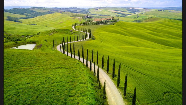 Chianti Horse Riding Tour - Photo 4