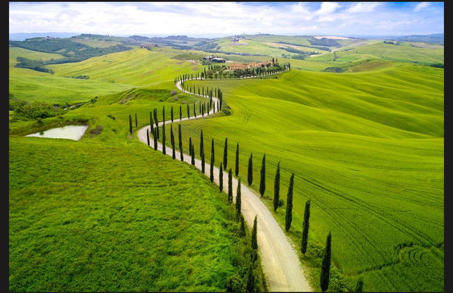 Chianti Horse Riding Tour - Photo 4