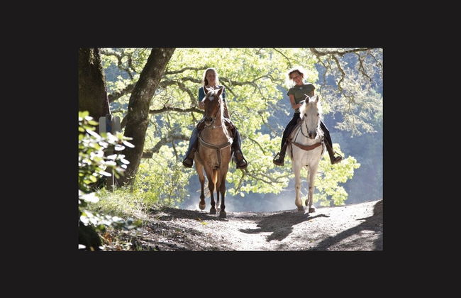 Paseo a caballo por el Chianti - Foto 2