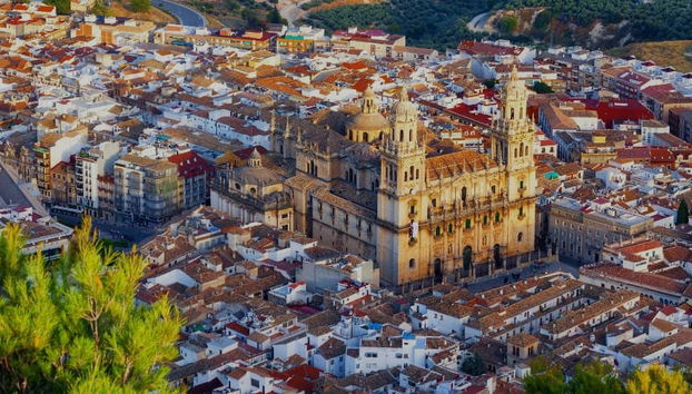 Private Tour of Jaen - Foto 5