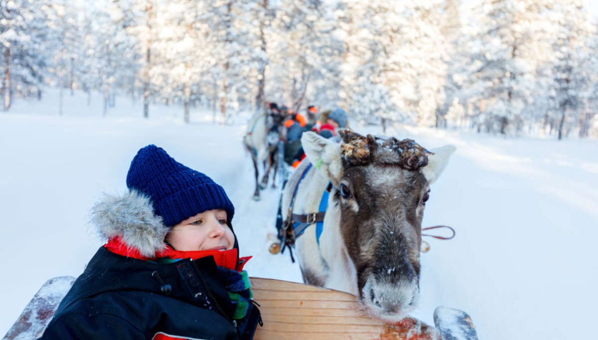 Reindeer & Husky Sleigh Ride - Photo 1