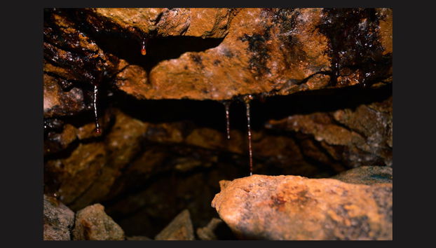 Excursión a Zaruma - Foto 2