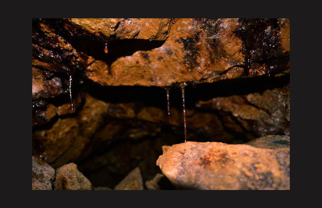 Excursión a Zaruma - Foto 2