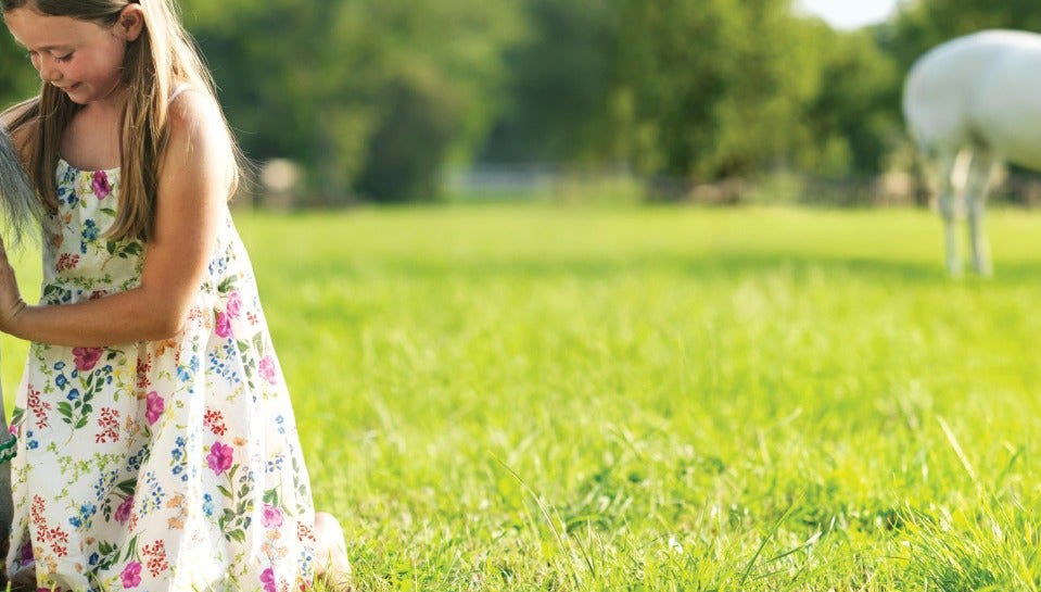 Lipica & Skocjan Caves Tour