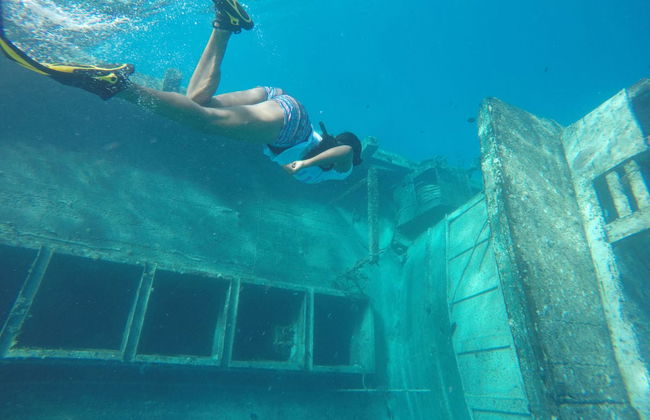 Snorkel con tiburones + Barco hundido - Foto 3