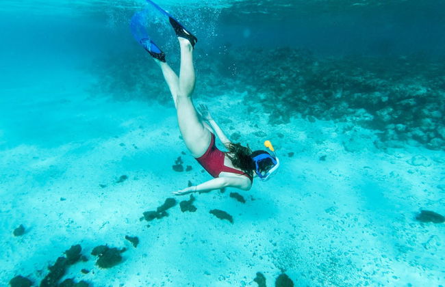 Snorkel con tiburones + Barco hundido - Foto 6