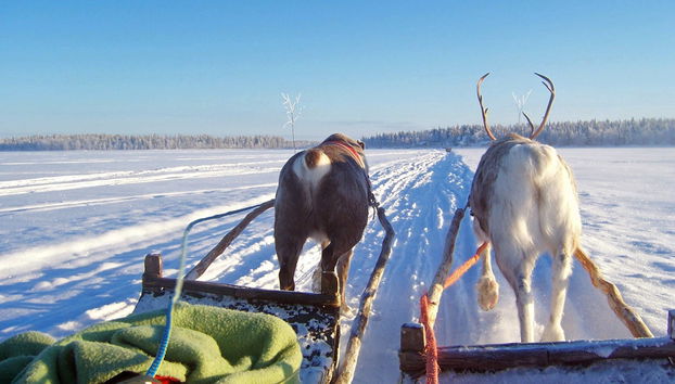 Snowmobile & Reindeer Sleigh Tour - Photo 2