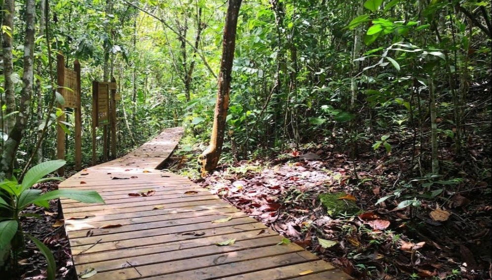 Excursion à La Virginia et à El Guásimo - Photo 1