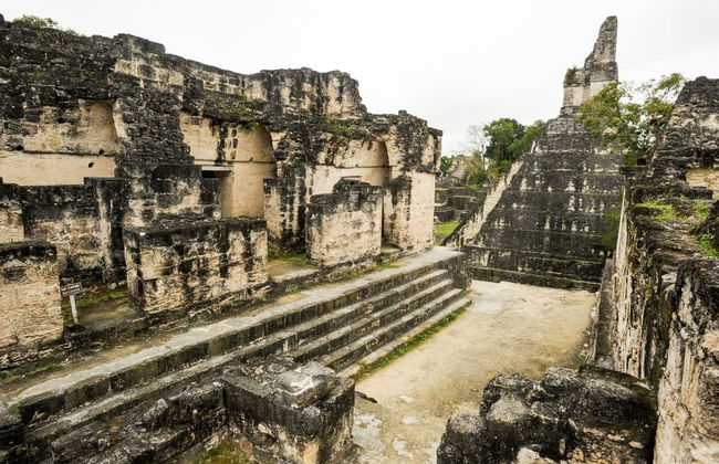 Excursión a Tikal con entradas - Foto 3