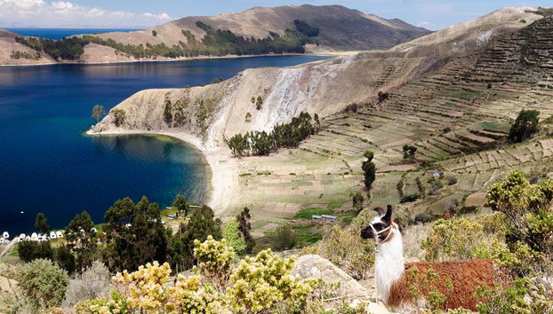 Lake Titicaca 2 Day Tour - Photo 2
