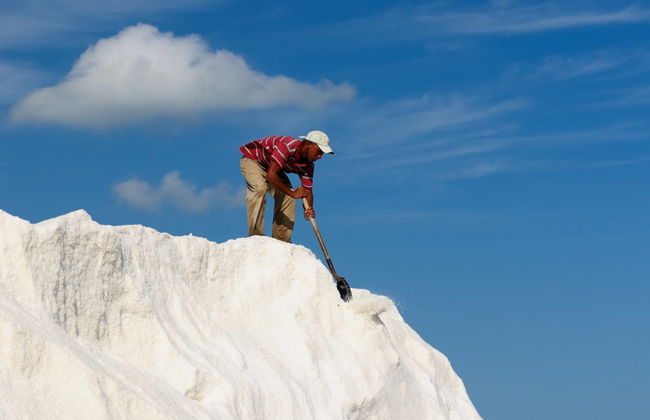 Excursión a las salinas de Manaure + Ranchería wayúu - Foto 1