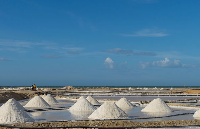 Excursión a las salinas de Manaure + Ranchería wayúu - Foto 4