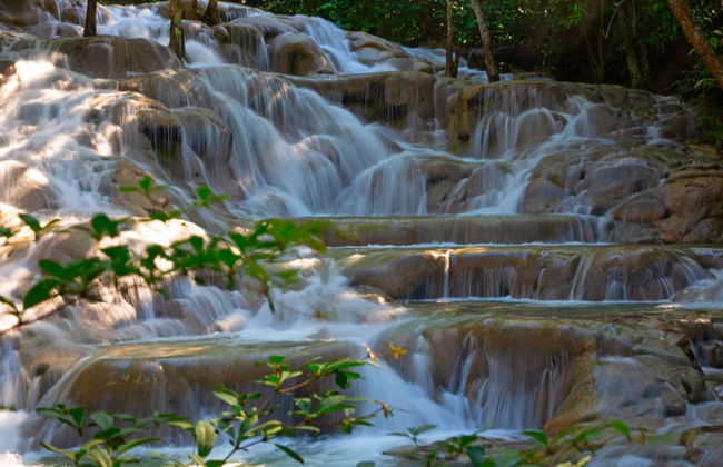 Excursión a las cascadas del río Dunn - Foto 1