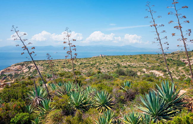 Cagliari Sella del Diavolo Hike - Foto 6